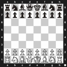 The representation of the board in a Chess Engine with TuringBot